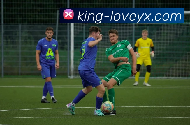 App Interface Preview